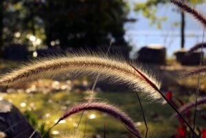 10 Must-See Places in Arkansas That Locals Swear By